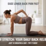 Physiotherapy Exercises for Lower Back Pain